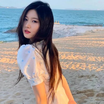 一个妨碍了希特勒的人