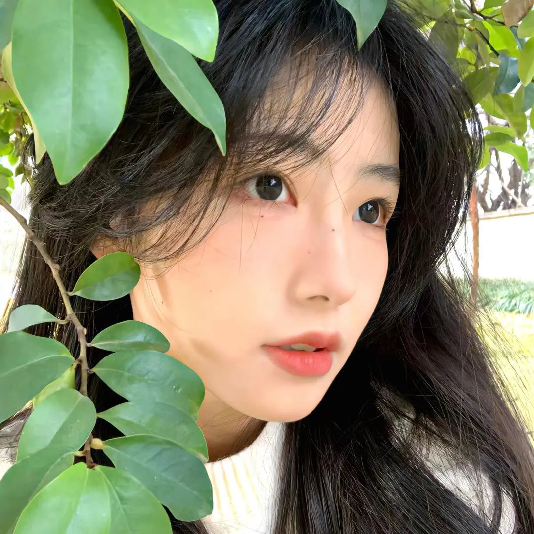 情歌
